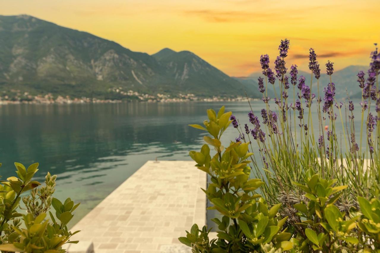 Apartments D&V Kotor Ngoại thất bức ảnh